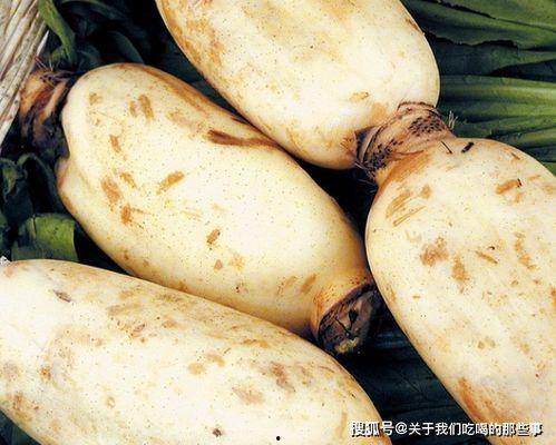 莲藕和乳瓜能一起吃吗,莲藕与乳瓜的搭配食用探讨