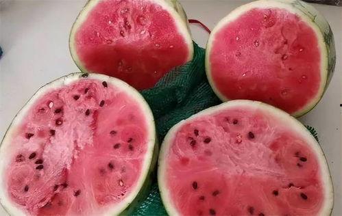 假瓜吃真瓜,一场味蕾的奇妙之旅