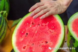 大学宿舍吃瓜投稿