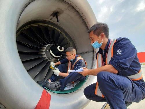 飞机上搜索吃瓜,揭秘飞机上吃瓜的趣味瞬间