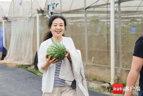 韩大伟吃瓜,揭秘娱乐圈背后的真相