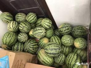 禅城吃瓜群,揭秘本地美食圈的热辣故事