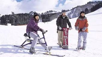 东京滑雪圈吃瓜事件,揭秘背后的真相与争议