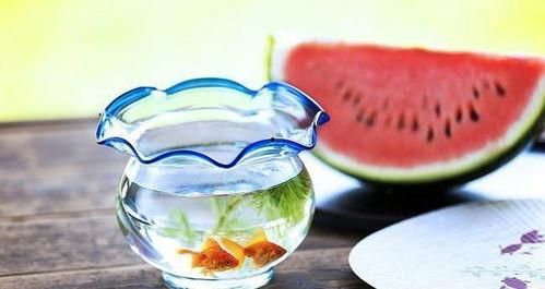 黑暗料理吃瓜app,揭秘美食界的另类风味