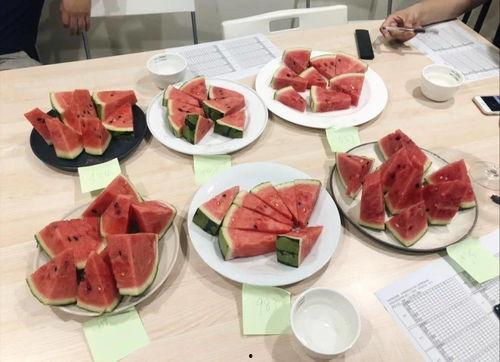 大瓜吃美食,一场味蕾的狂欢之旅