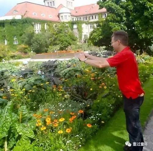 雨后的小镇吃瓜视频,一场别开生面的吃瓜盛宴