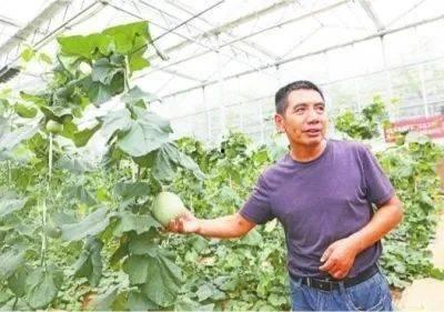 江夏吃瓜事件,一场网络舆论的风暴与反思