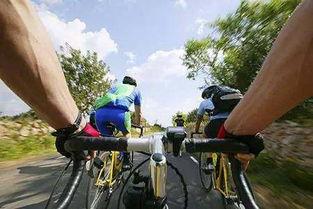 恋爱骑行吃瓜版,一场浪漫的骑行吃瓜之旅