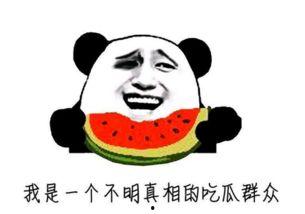 吃瓜群众最善良,善良视角下的社会百态