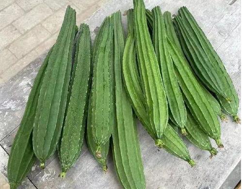 绿色直接吃的瓜