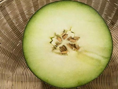 抽烟吃蜜瓜,一夏的悠闲时光