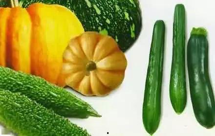 不夜城吃瓜,揭秘夜市美食背后的故事