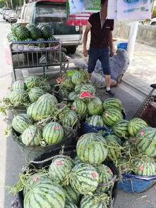 武汉半夜吃瓜事件,揭秘网络谣言背后的真相