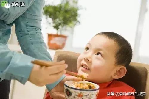 刚子吃莎莉的瓜