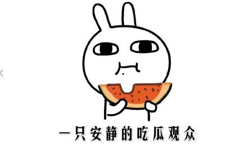 有瓜吃啥意思,揭秘“有瓜吃”的奥秘与乐趣