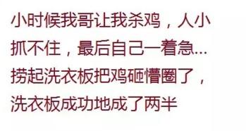 没洗头吃瓜群众,揭秘日常生活中的趣味瞬间